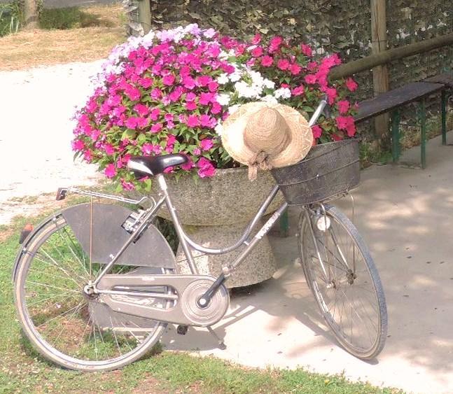 Romans di Varmo B&B I Prati Di Varmo المظهر الخارجي الصورة